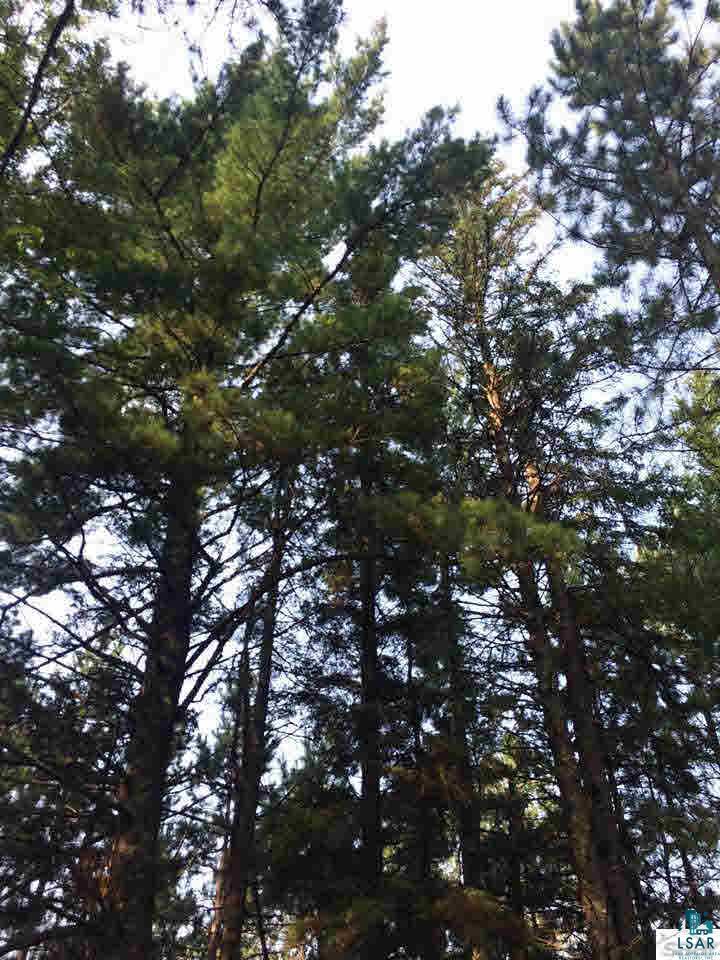 6898 County Rd A Solon Springs, WI 54873 - Photo 8 of 8