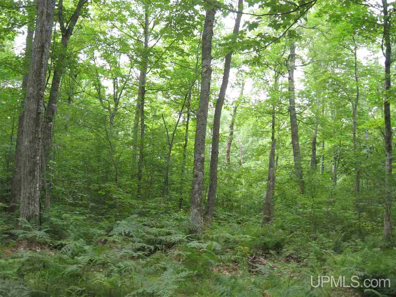 0 Rhody Cr, Unit CARTER LAKE RDP Seney, MI 49883 - Photo 15 of 36