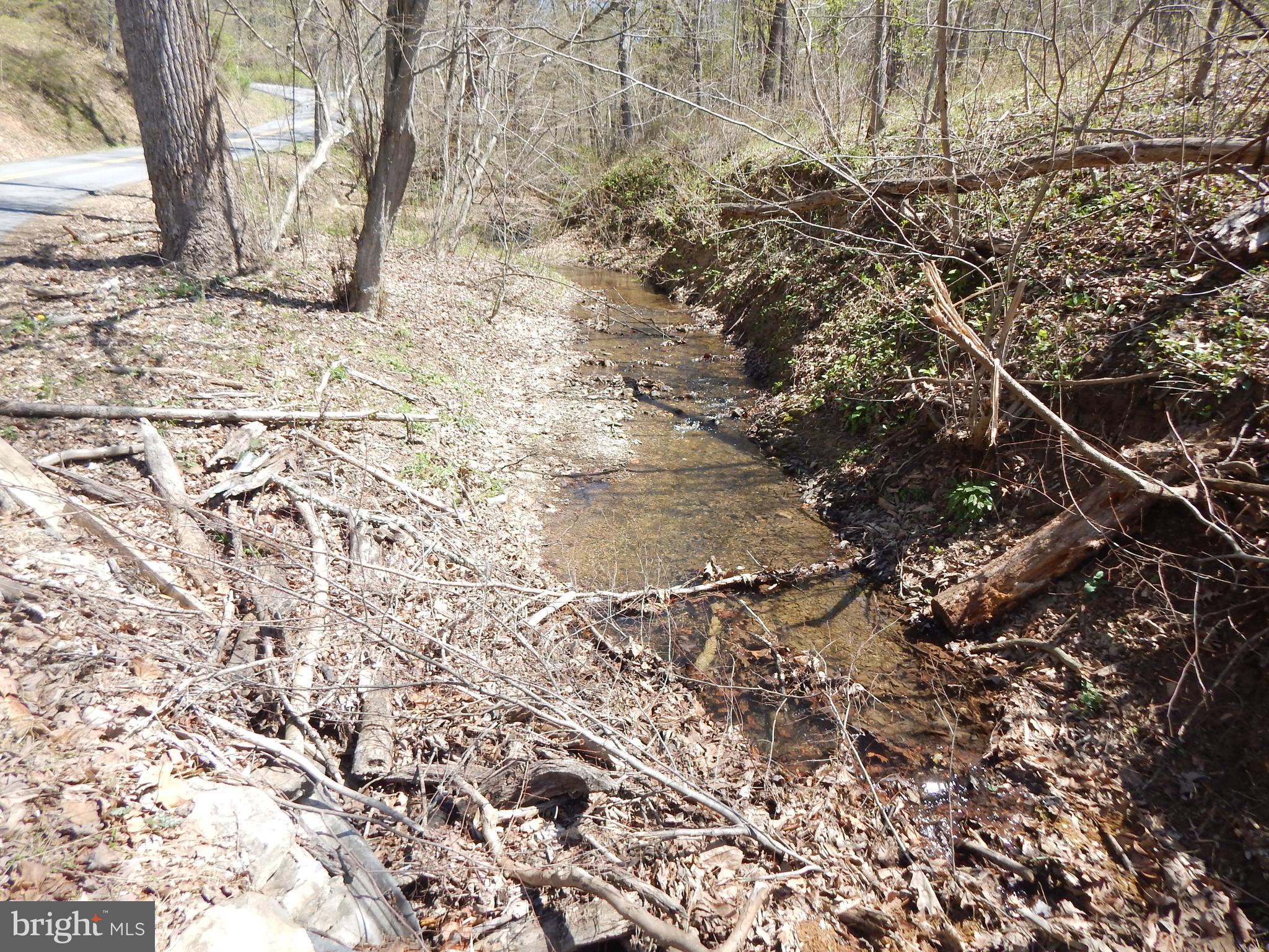 Lot 1 Cannon Hill Road Hedgesville, WV 25427 - Photo 11 of 19 a backyard of a house with a large tree