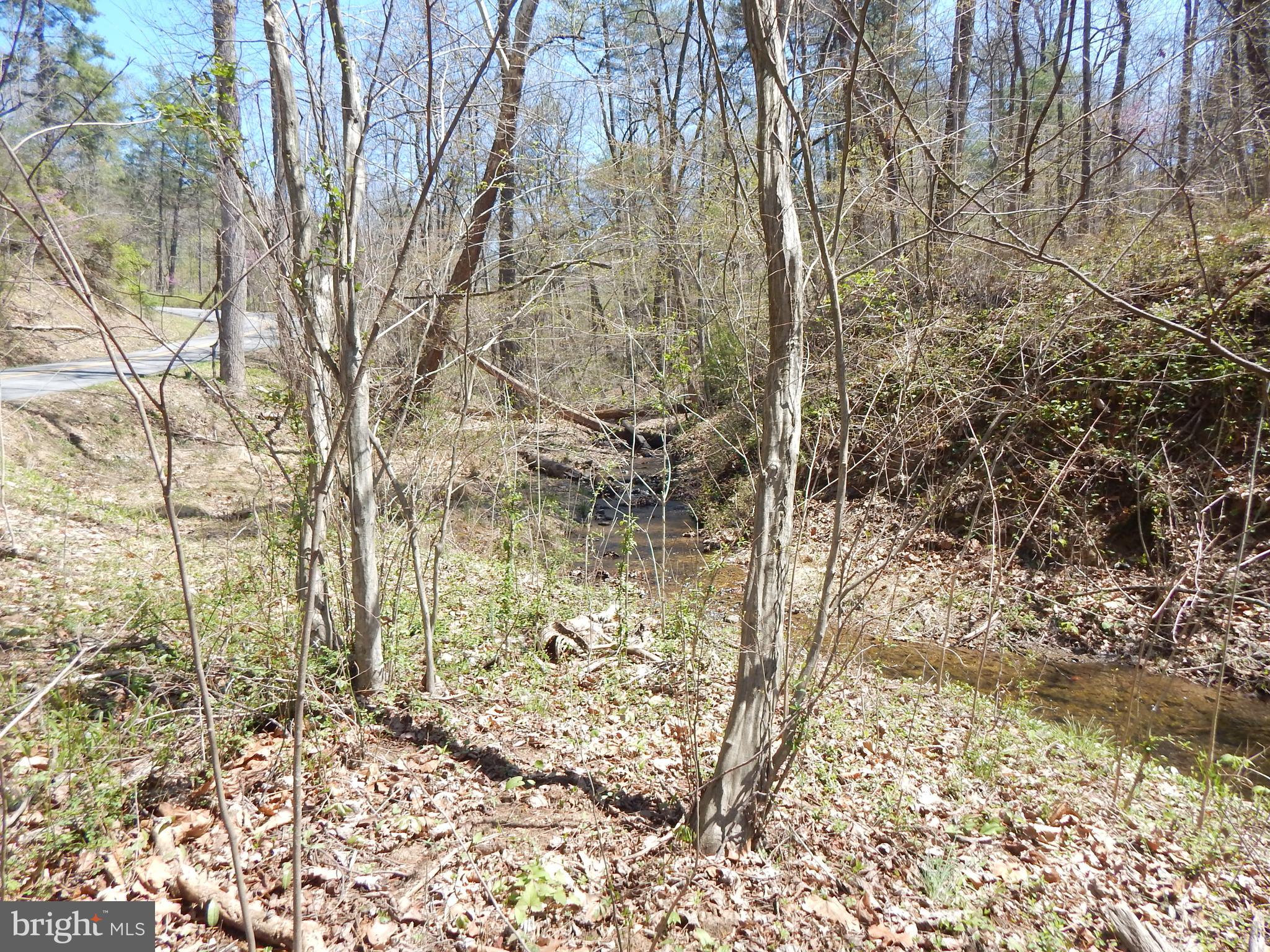 Lot 1 Cannon Hill Road Hedgesville, WV 25427 - Photo 12 of 19 a view of a yard with trees