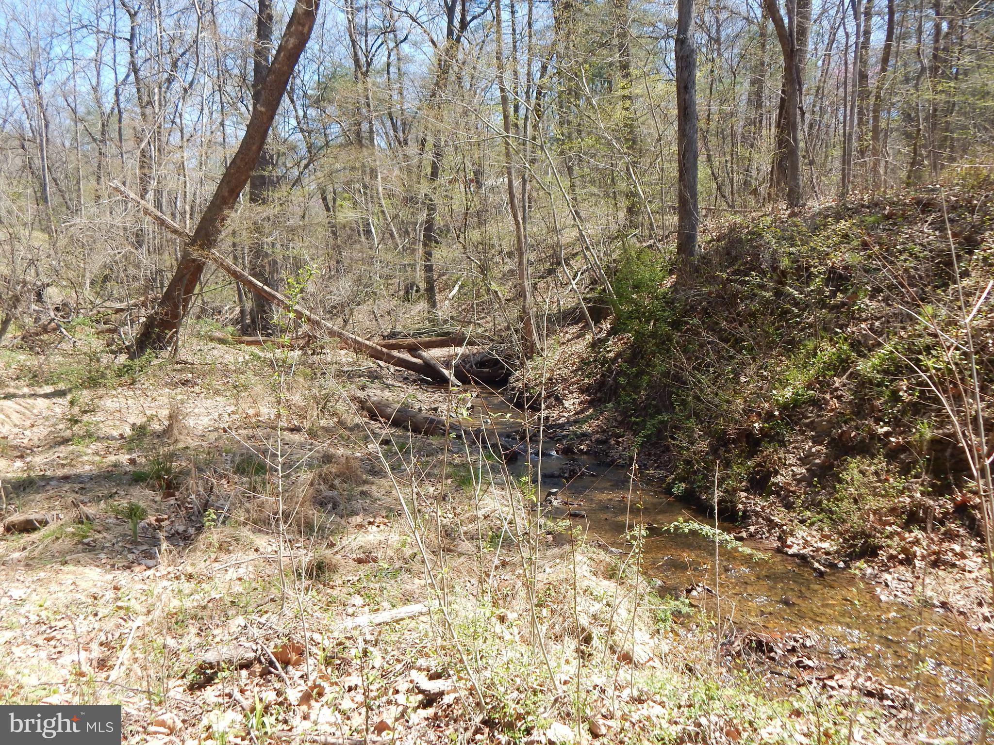 Lot 1 Cannon Hill Road Hedgesville, WV 25427 - Photo 13 of 19 a backyard of a building