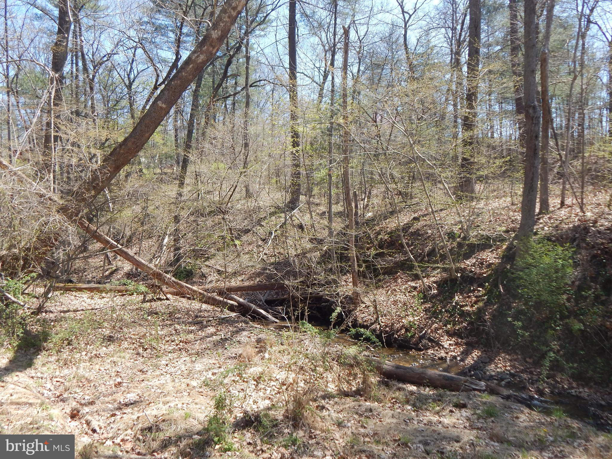 Lot 1 Cannon Hill Road Hedgesville, WV 25427 - Photo 14 of 19 a backyard of a building