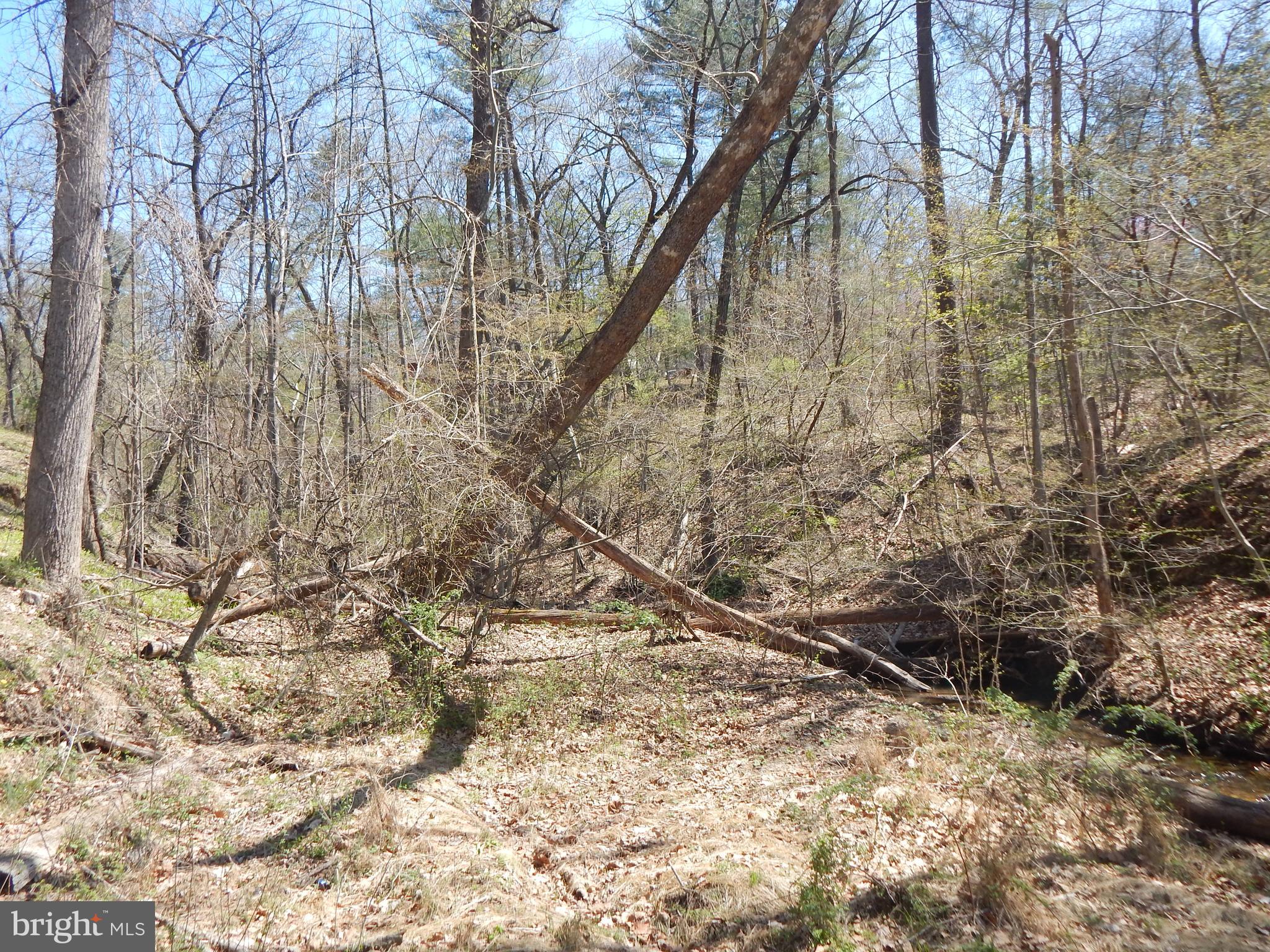 Lot 1 Cannon Hill Road Hedgesville, WV 25427 - Photo 15 of 19 a backyard of a building with large trees