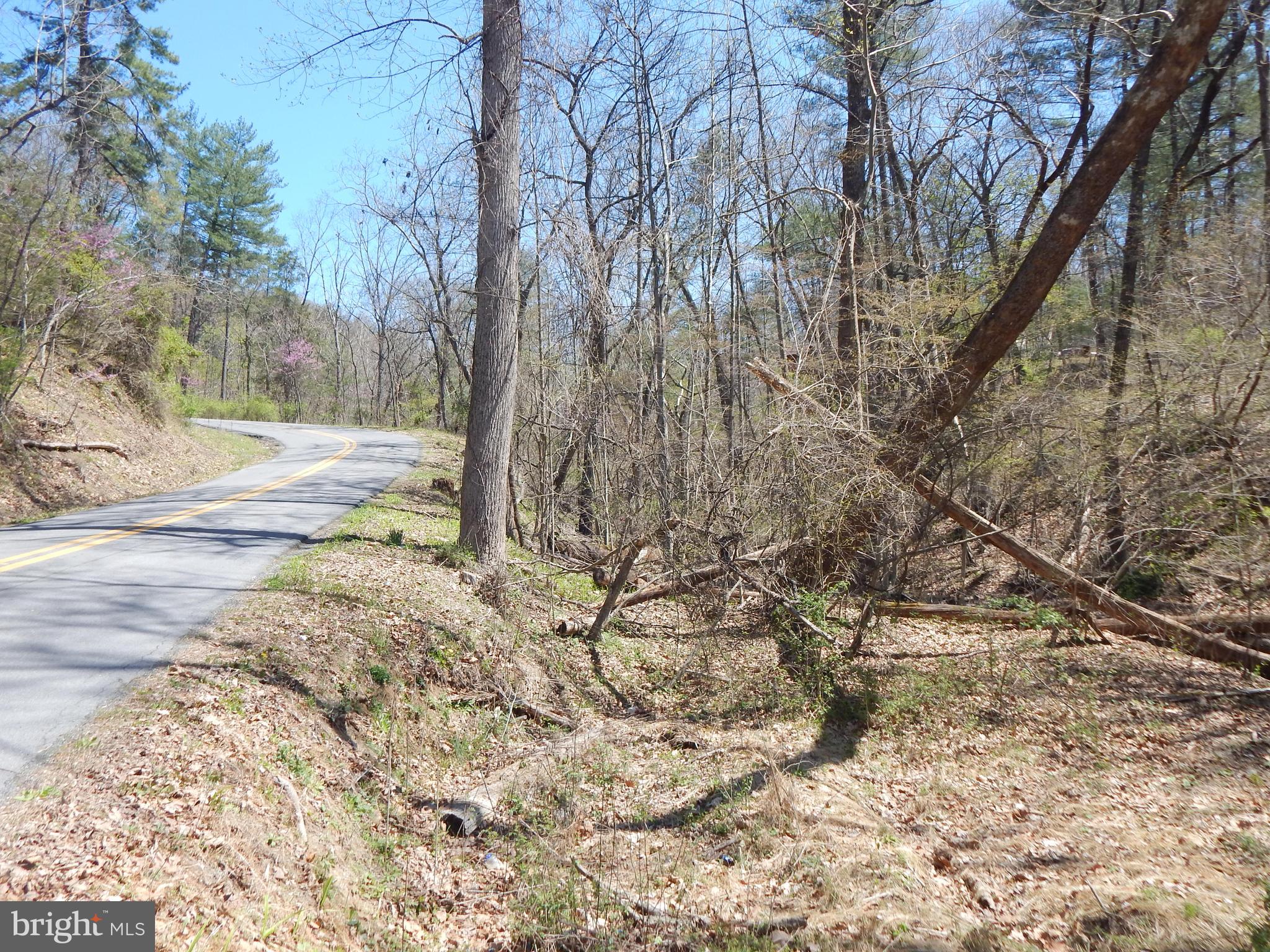 Lot 1 Cannon Hill Road Hedgesville, WV 25427 - Photo 16 of 19 a view of a yard with large tree