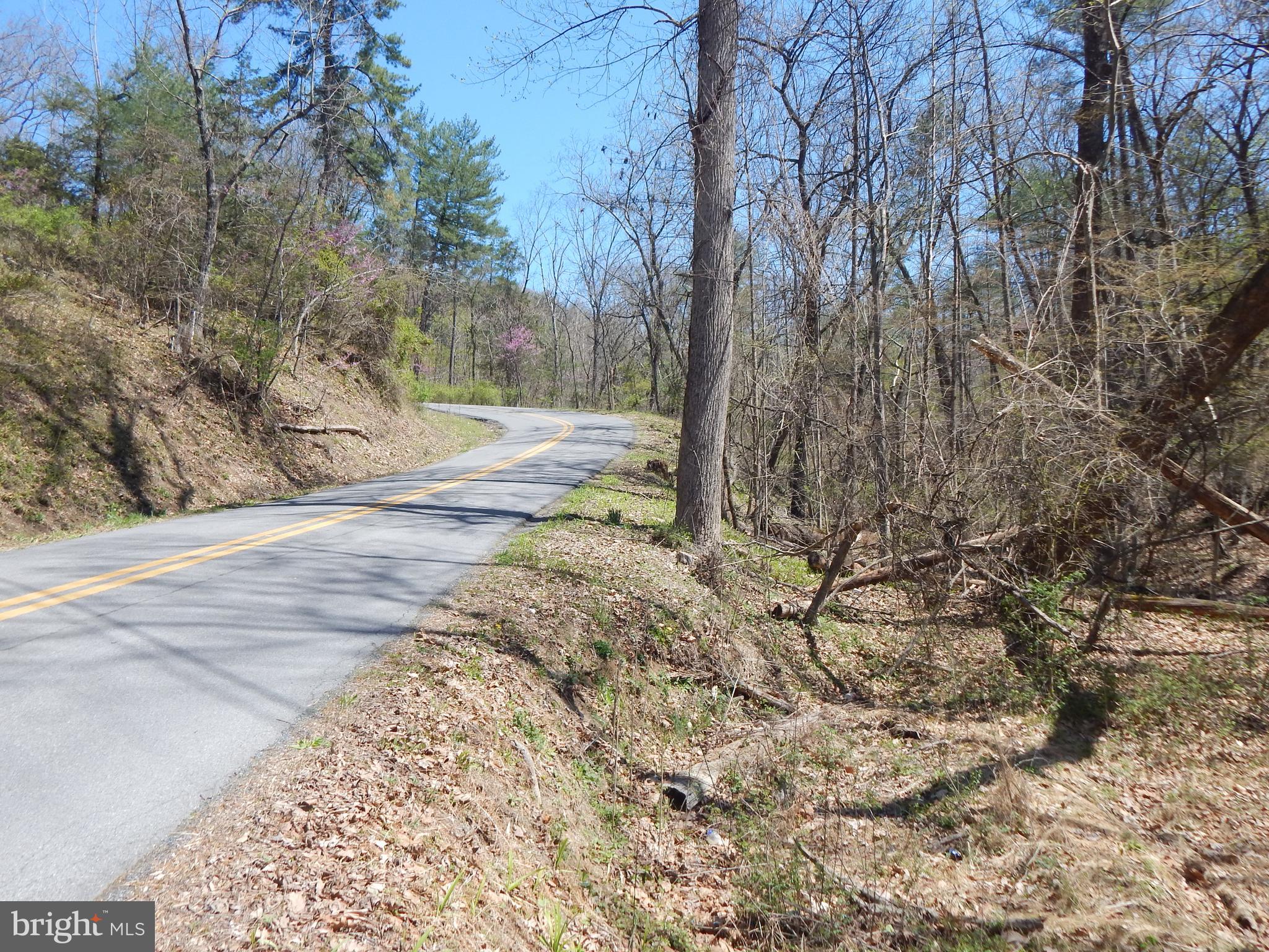 Lot 1 Cannon Hill Road Hedgesville, WV 25427 - Photo 17 of 19 a view of backyard of a house