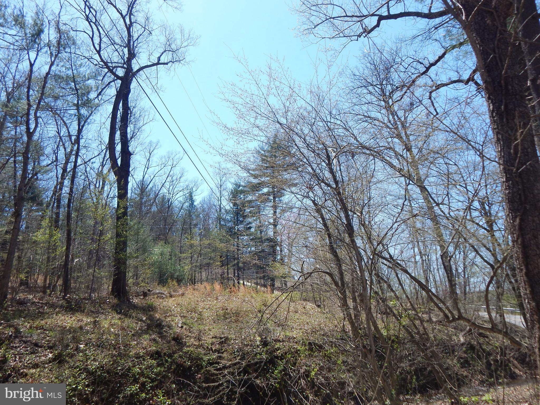 Lot 1 Cannon Hill Road Hedgesville, WV 25427 - Photo 4 of 19 a backyard of a house with lots of green space