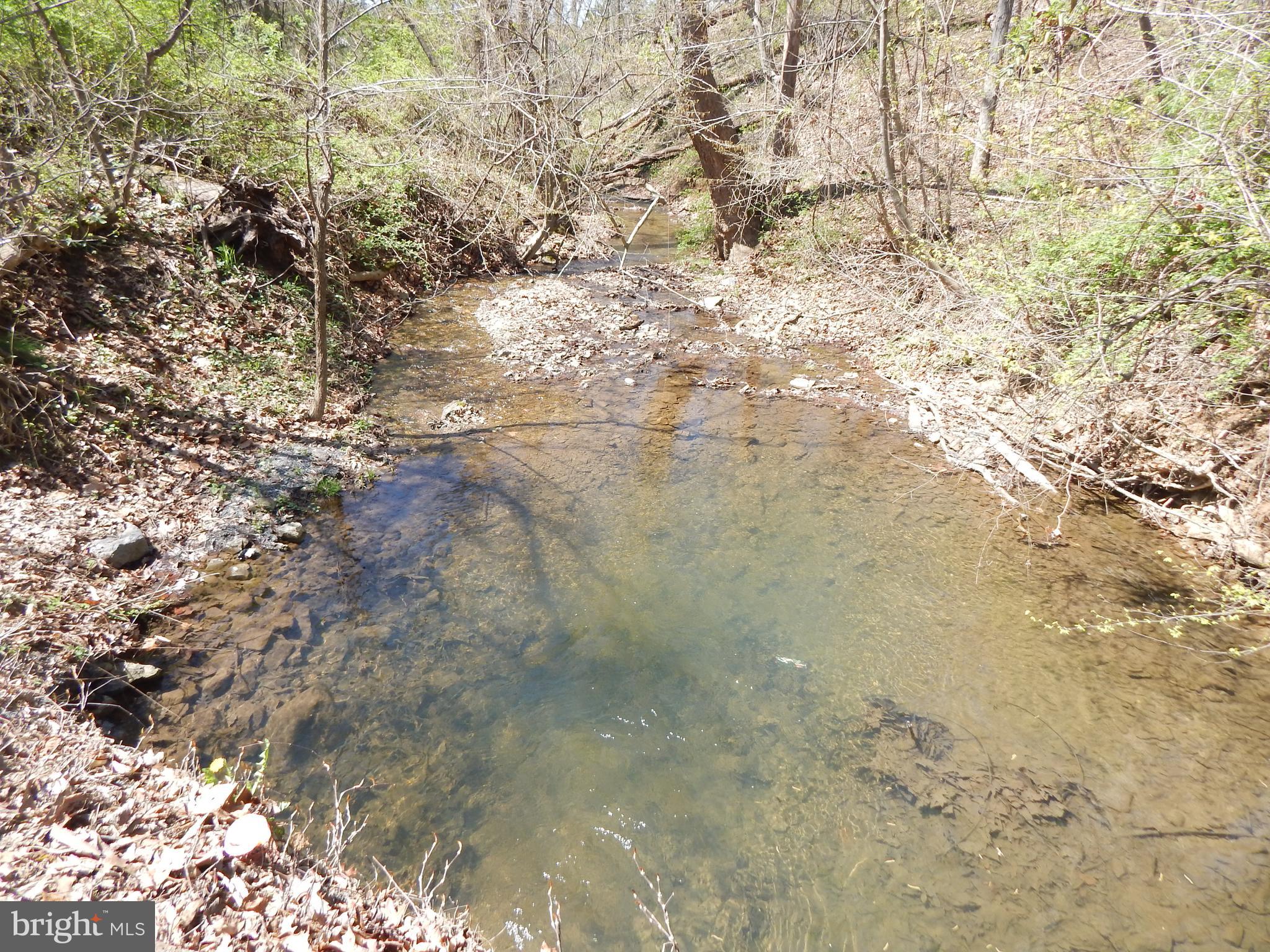 Lot 1 Cannon Hill Road Hedgesville, WV 25427 - Photo 9 of 19 a view of a yard of a yard
