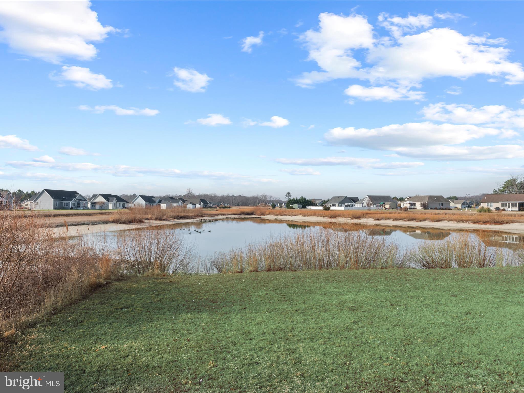 845 Abagail Circle Harrington, DE 19952 - Photo 56 of 74 Pond