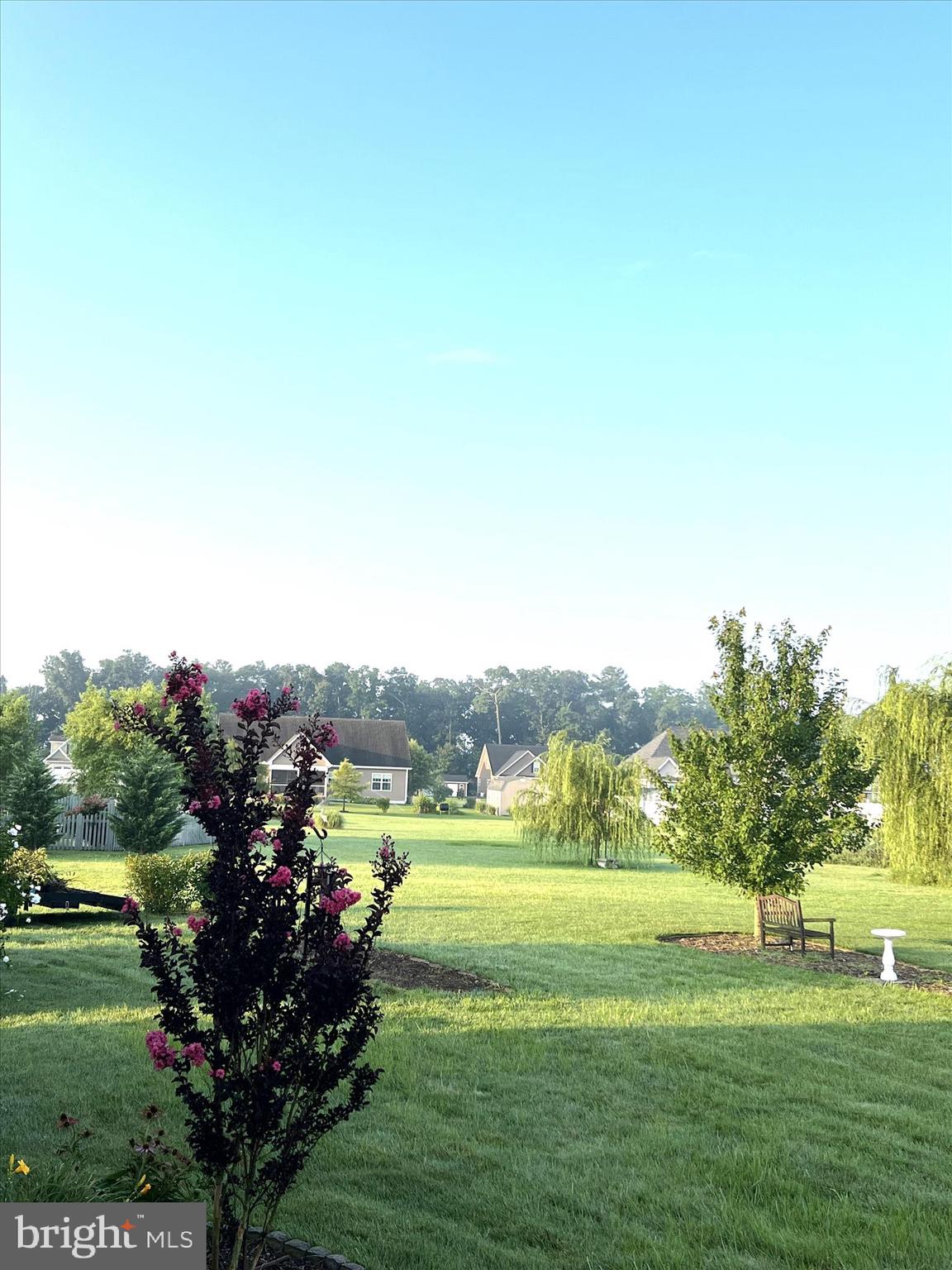 845 Abagail Circle Harrington, DE 19952 - Photo 64 of 74 Backyard Views