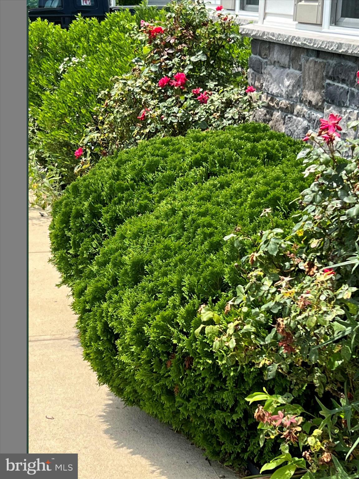 845 Abagail Circle Harrington, DE 19952 - Photo 71 of 74 IMG_3186 - Copy - Copy