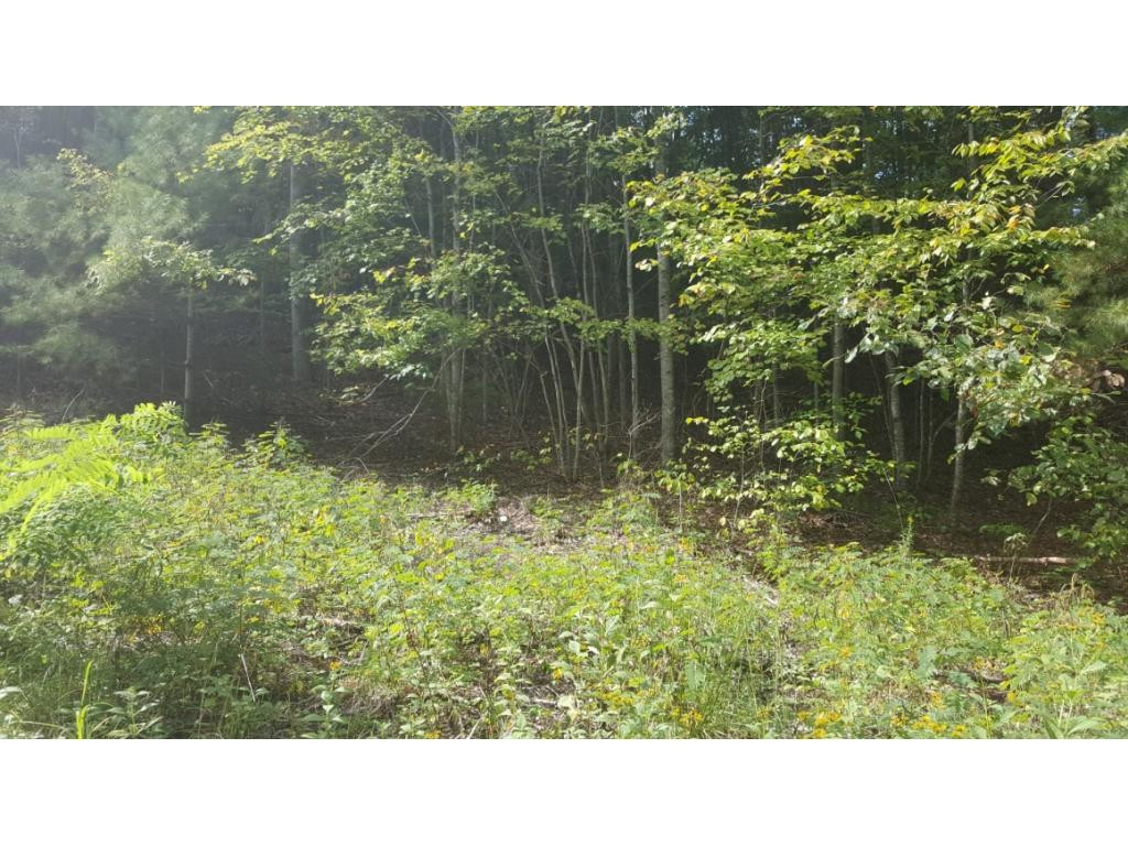 Tr 2 Roller Road Unicoi, TN 37692 - Photo 29 of 30 Photo 31