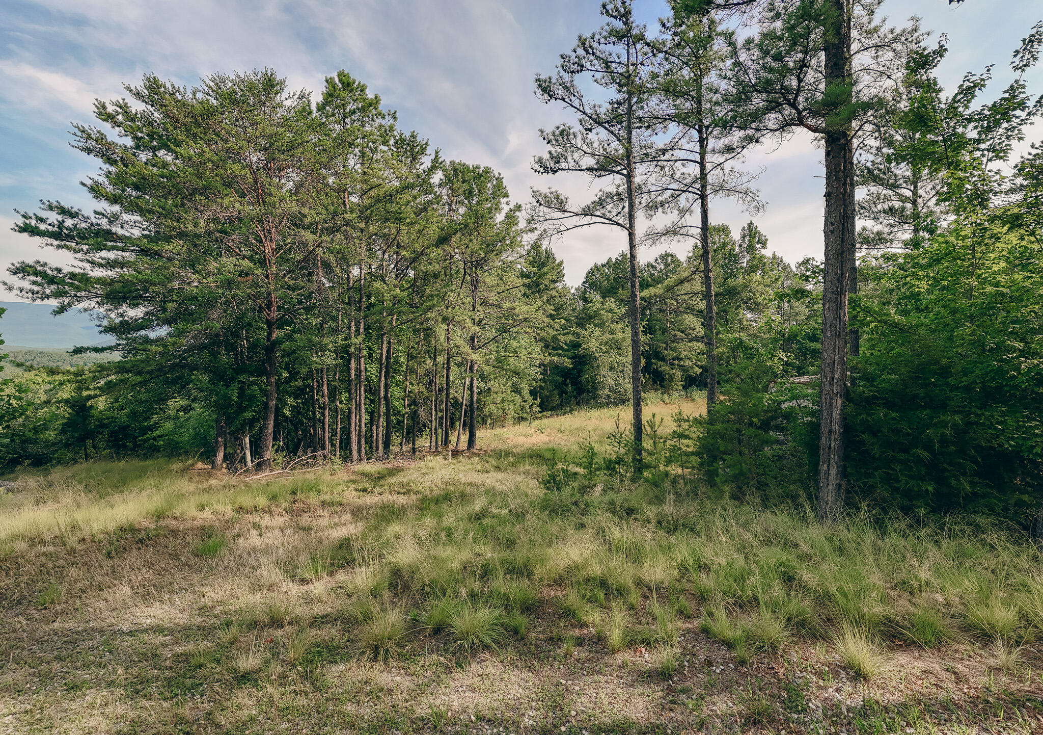 0 Sugar Tree Hollow Road Eagle Rock, VA 24085 - Photo 6 of 18 Miller pic 6