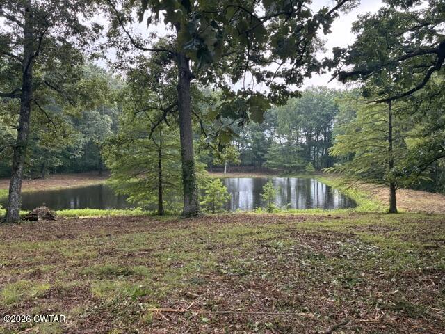 0 McBride Cemetery Road Sardis, TN 38371 - Photo 54 of 54 pond 1