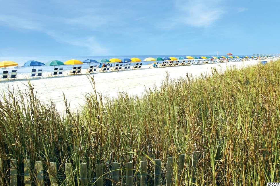 1407 Hemingway Street Myrtle Beach, SC 29577 - Photo 7 of 9 Gallery Image 7