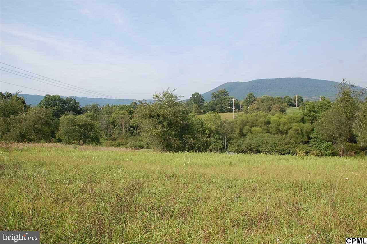 Lot 6 Shed Road Newville, PA 17241 - Photo 2 of 13
