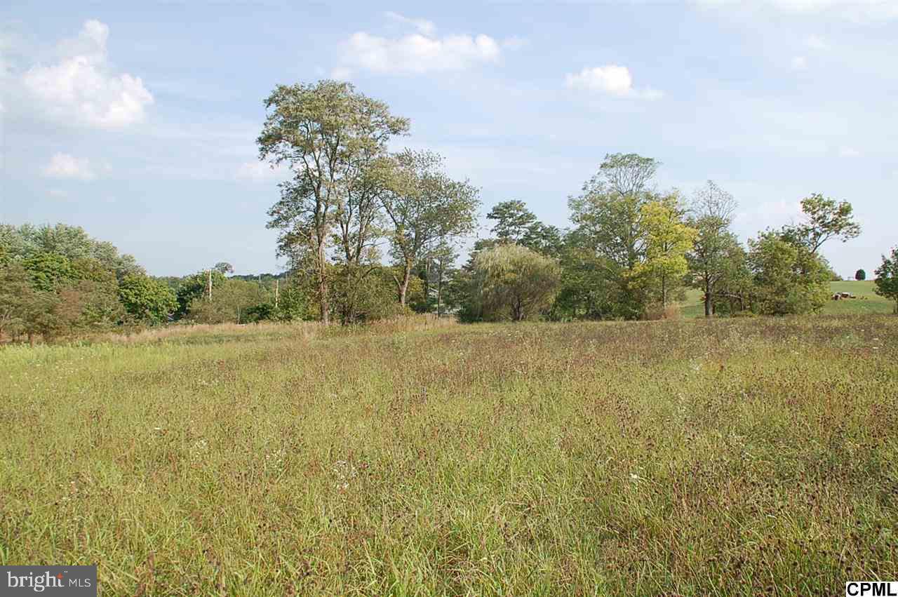Lot 6 Shed Road Newville, PA 17241 - Photo 11 of 13