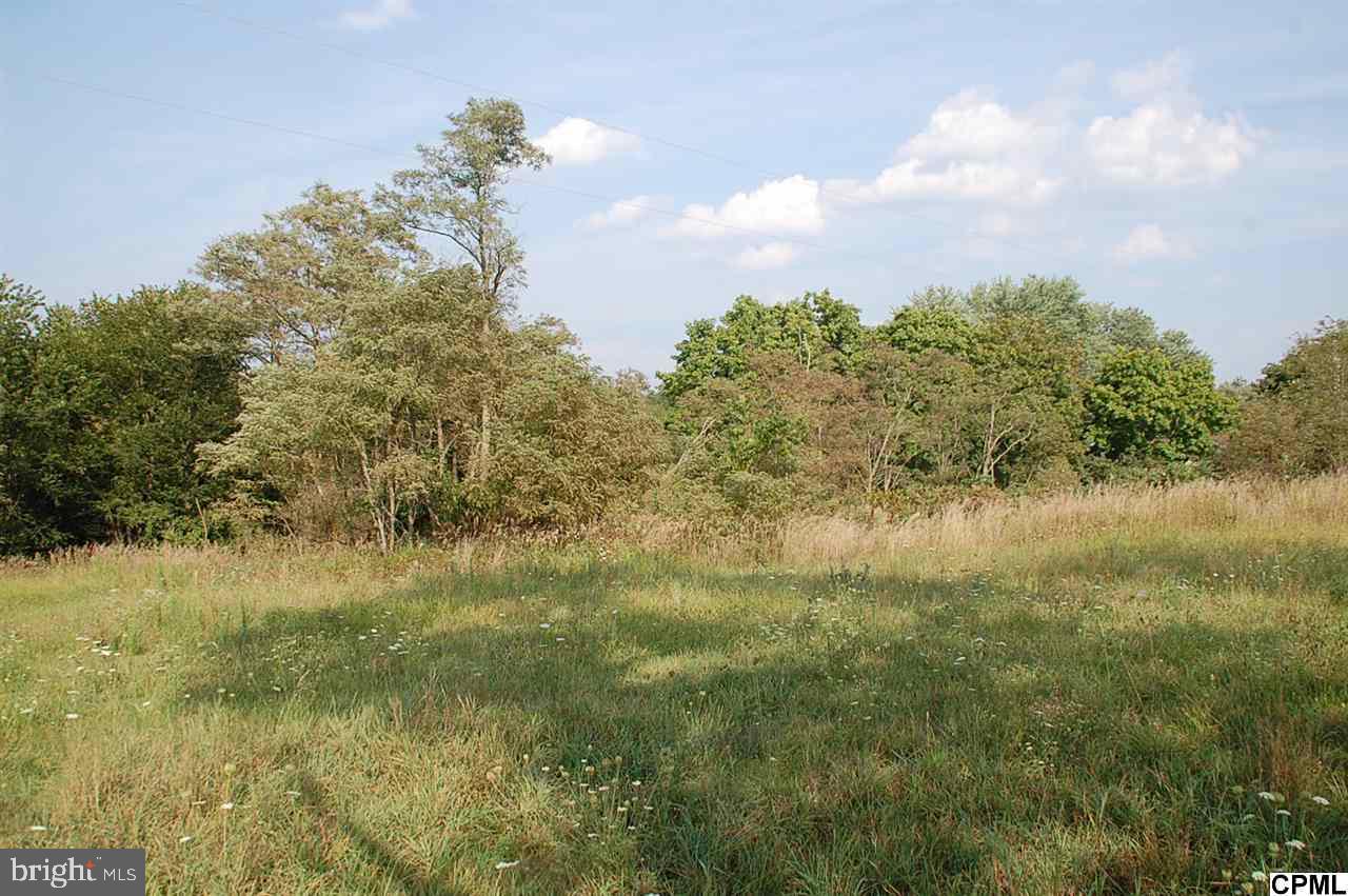 Lot 6 Shed Road Newville, PA 17241 - Photo 13 of 13