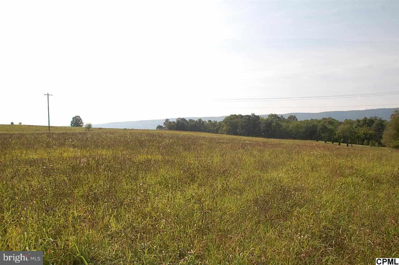 Lot 6 Shed Road Newville, PA 17241 - Photo 3 of 13