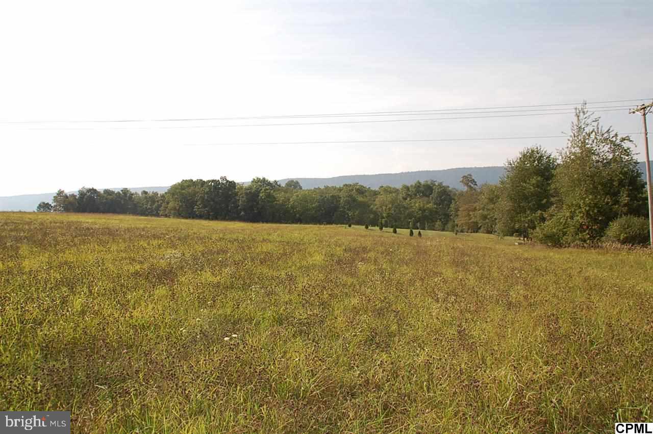 Lot 6 Shed Road Newville, PA 17241 - Photo 4 of 13