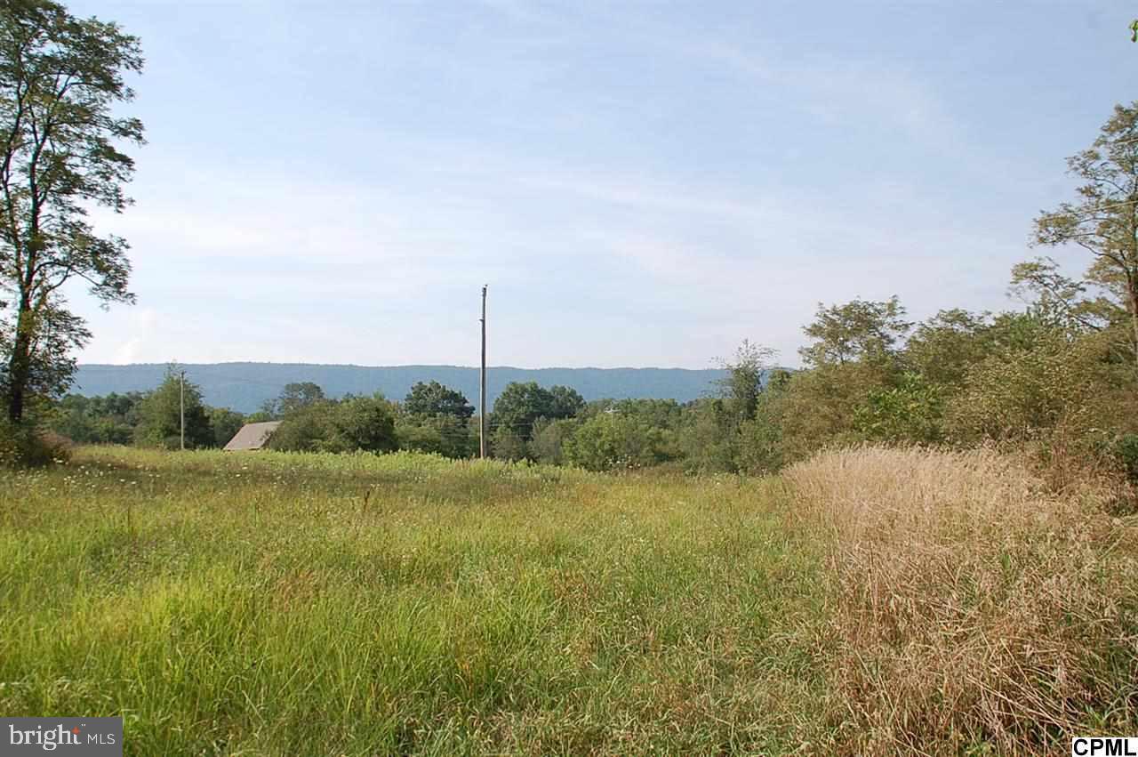 Lot 6 Shed Road Newville, PA 17241 - Photo 5 of 13