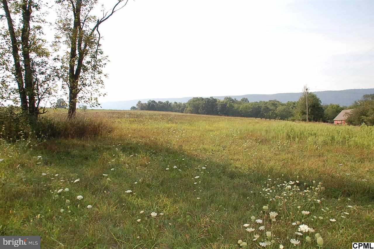 Lot 6 Shed Road Newville, PA 17241 - Photo 7 of 13
