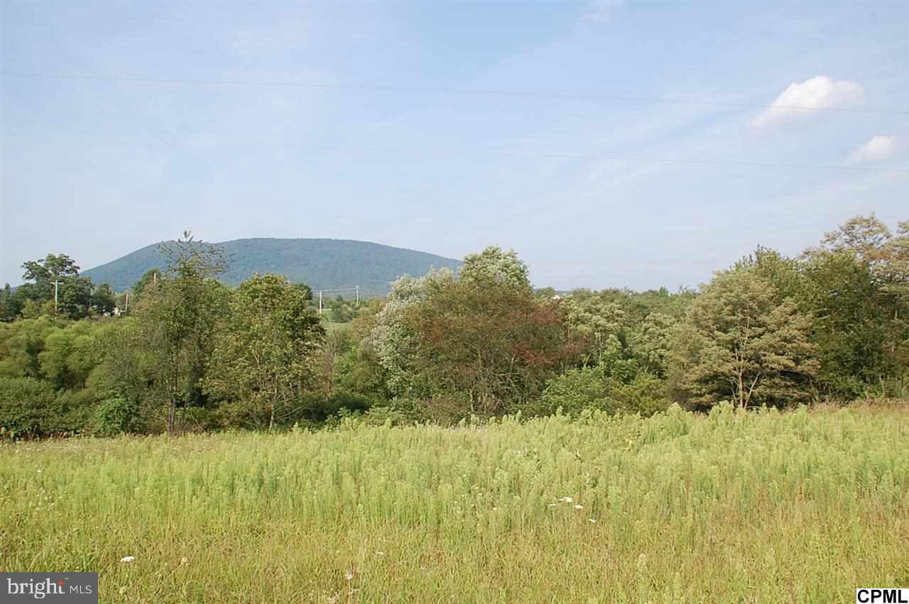 Lot 6 Shed Road Newville, PA 17241 - Photo 8 of 13