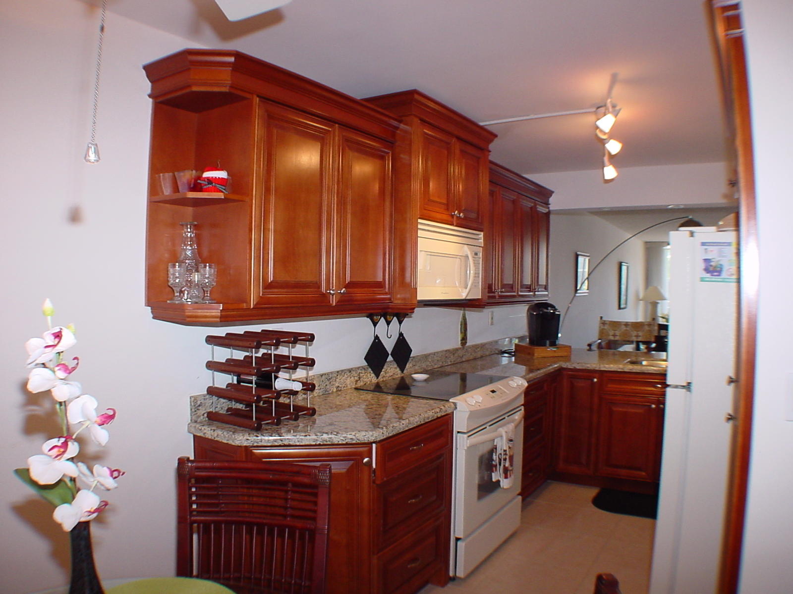 9 Royal Palm Way, Unit 202 Boca Raton, FL 33432 - Photo 6 of 45 DSC00136