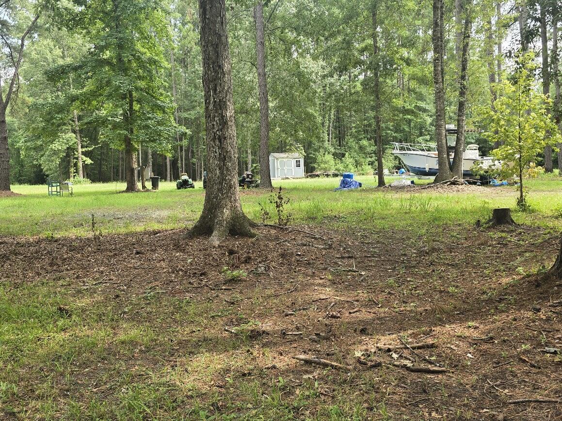 6210 Smoak Retreat Road Adams Run, SC 29426 - Photo 7 of 14 land 8