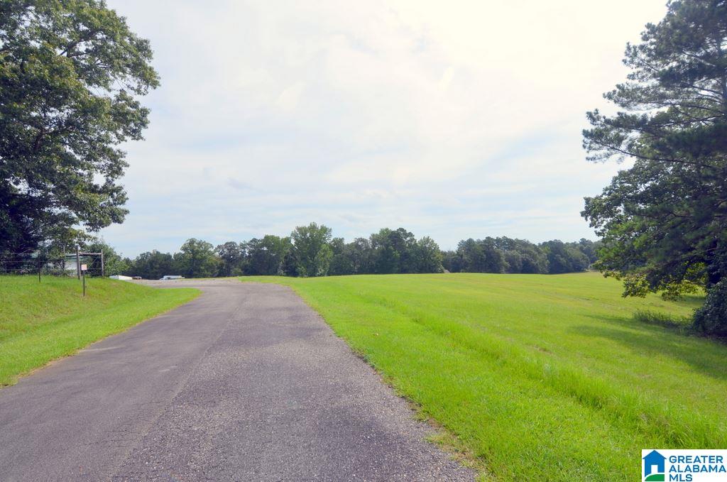 1155 Walkers Crossing Road Pell City, AL 35128 - Photo 4 of 37