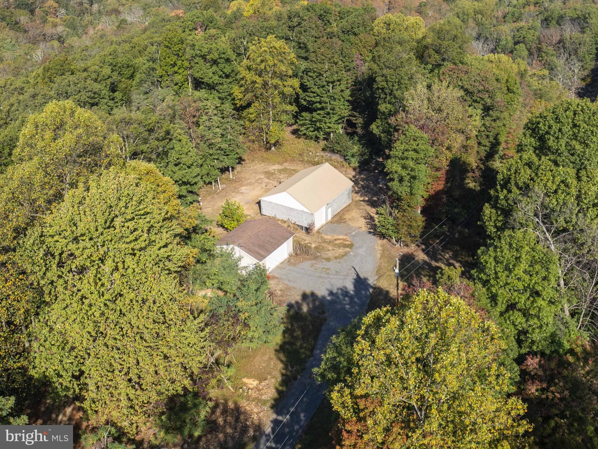 3225 Magnolia Road Great Cacapon, WV 25422 - Photo 12 of 59 a close up of a tree in a yard