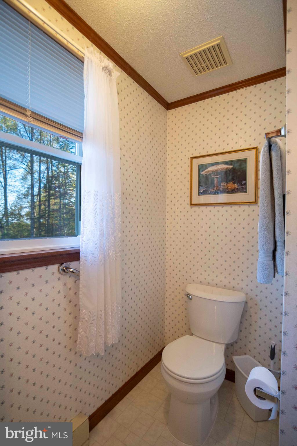 3225 Magnolia Road Great Cacapon, WV 25422 - Photo 25 of 59 a white toilet sitting next to a bathroom sink