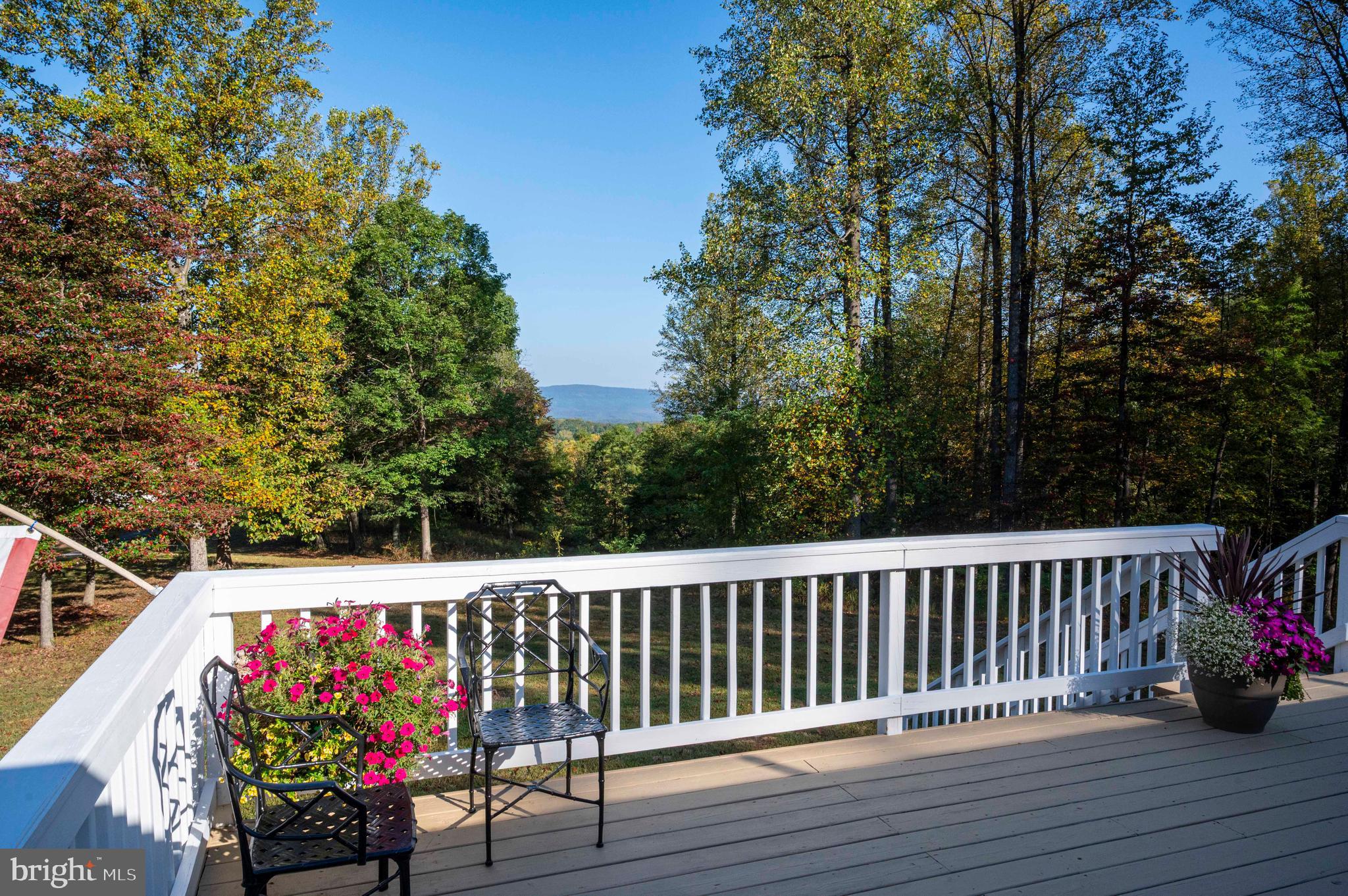 3225 Magnolia Road Great Cacapon, WV 25422 - Photo 44 of 59