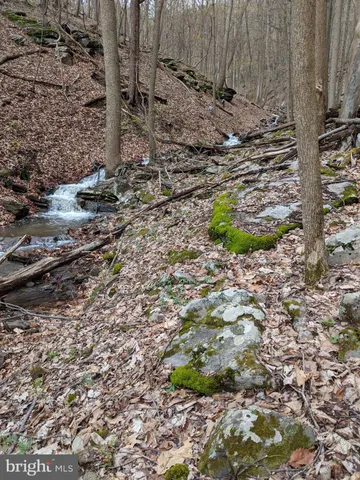 $473,500 | 3225 Magnolia Road, Great Cacapon, WV 25422