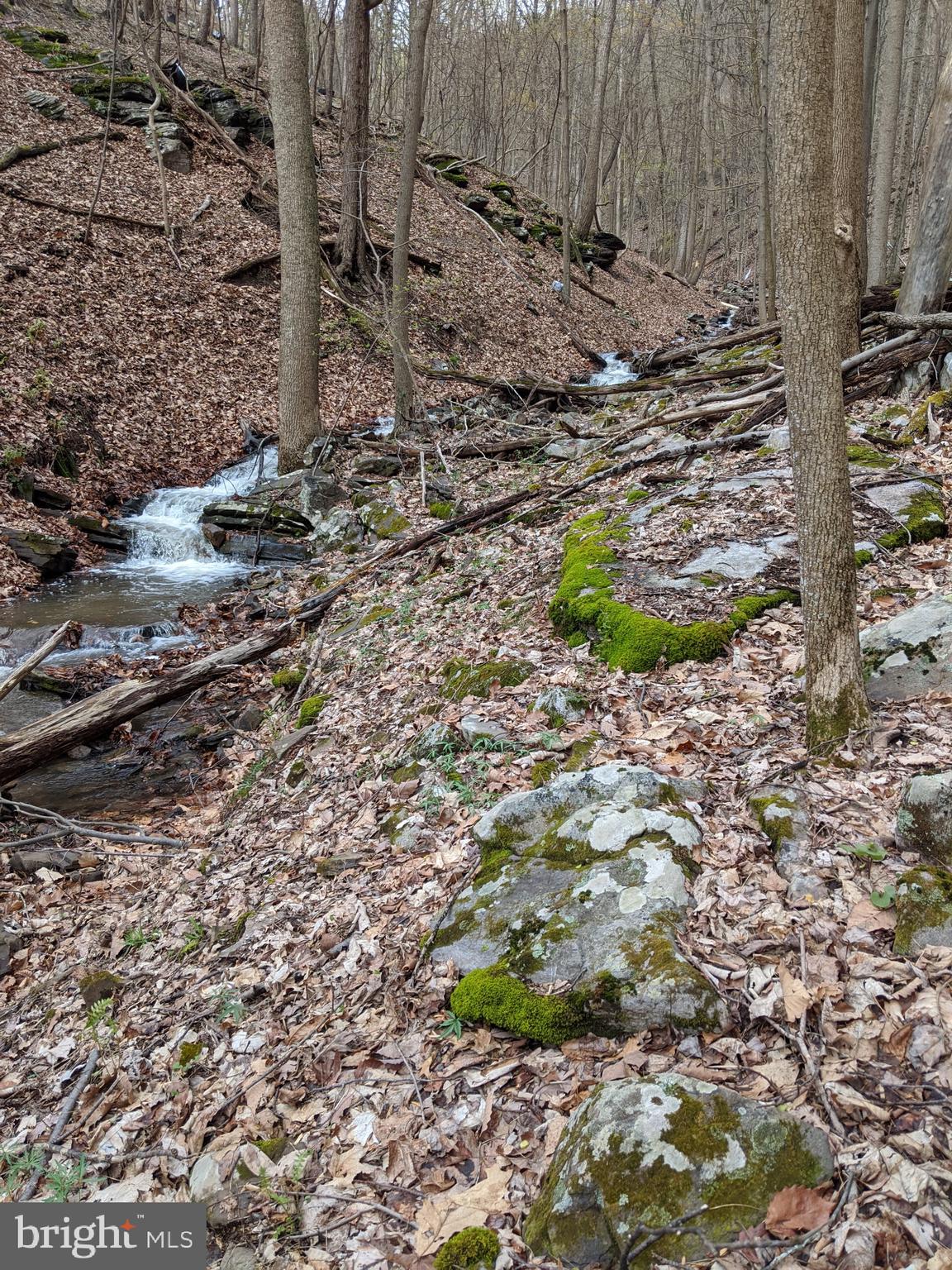 3225 Magnolia Road Great Cacapon, WV 25422 - Photo 52 of 59