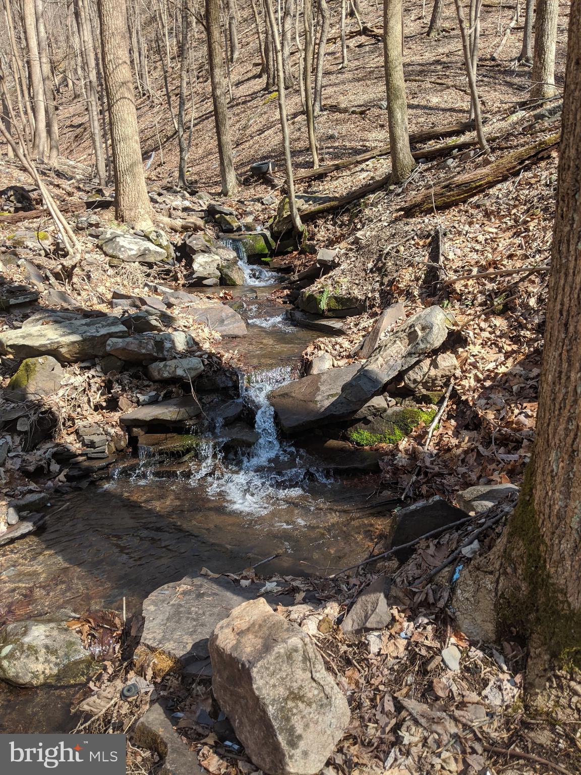 3225 Magnolia Road Great Cacapon, WV 25422 - Photo 54 of 59