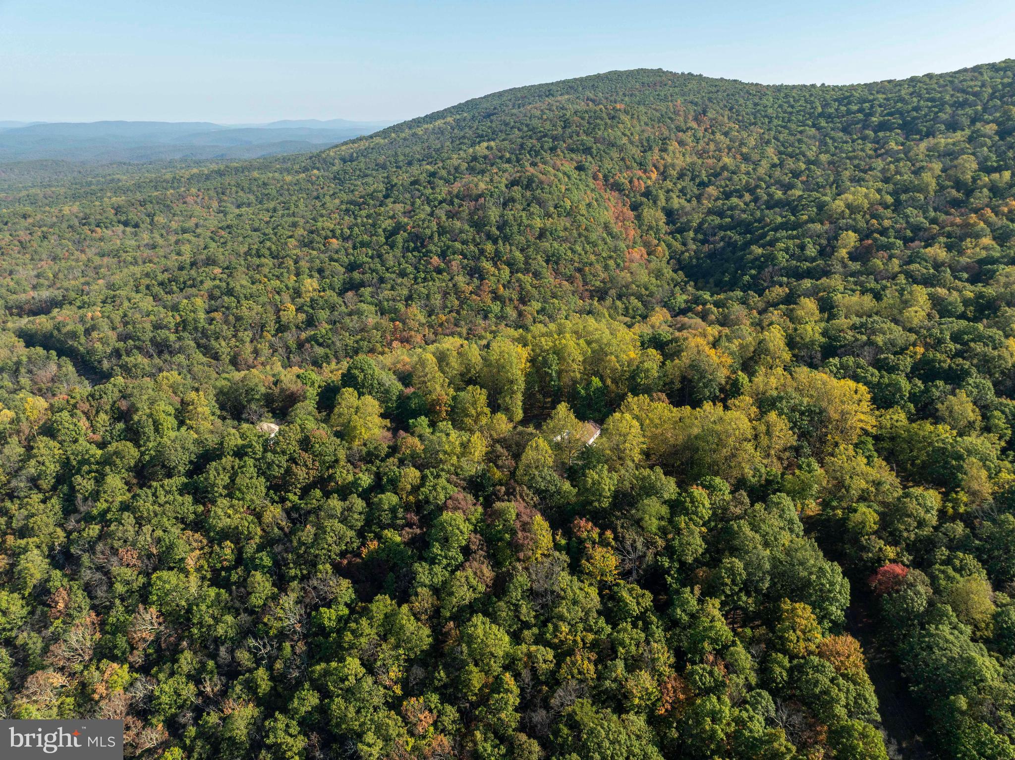 3225 Magnolia Road Great Cacapon, WV 25422 - Photo 55 of 59