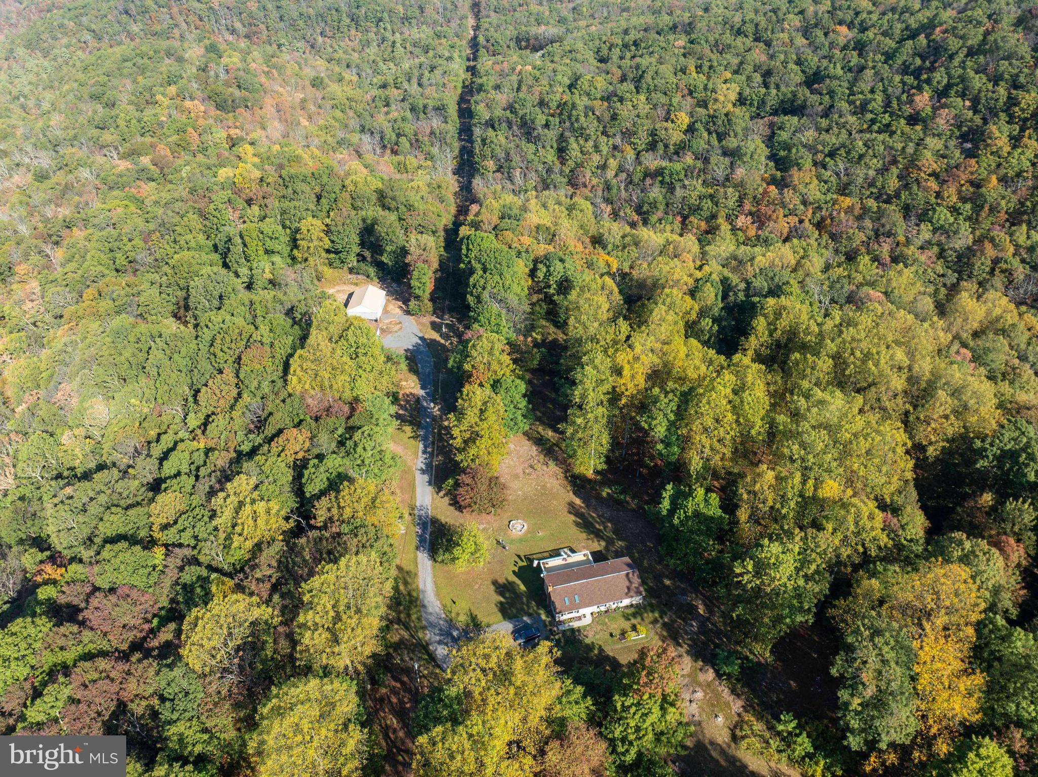 3225 Magnolia Road Great Cacapon, WV 25422 - Photo 57 of 59 a view of a yard with plants and tree