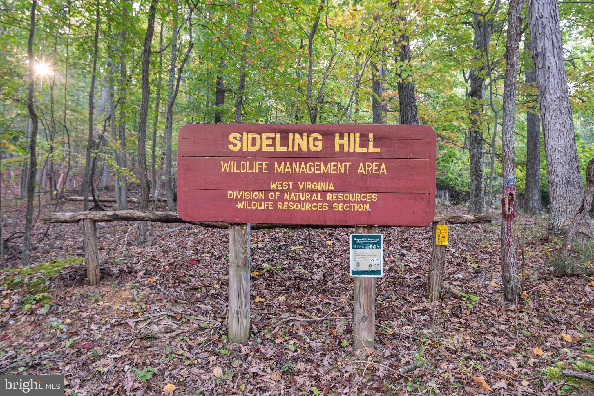 3225 Magnolia Road Great Cacapon, WV 25422 - Photo 59 of 59 a sign on the side of the road