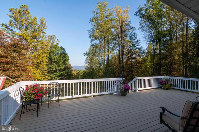 a close up of a tree in a yard