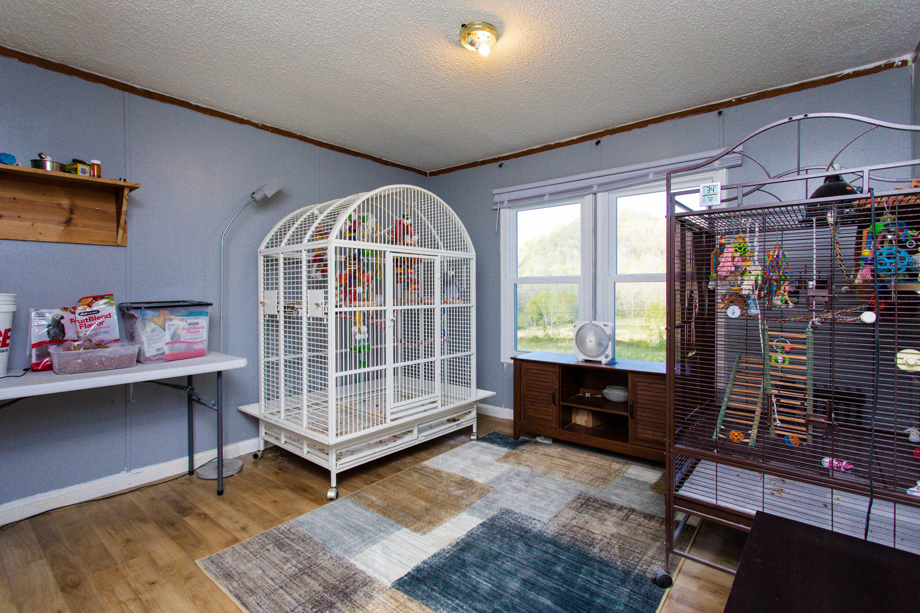 630 Cat Creek Road Stanton, KY 40380 - Photo 33 of 44 8G1A3962