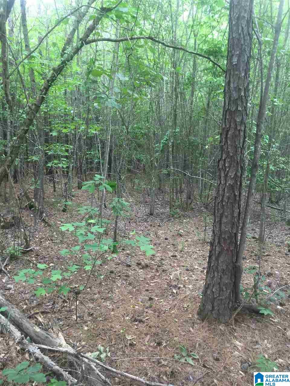0 Rendalia Motorway, Unit 29 ACRES Talladega, AL 35160 - Photo 2 of 21