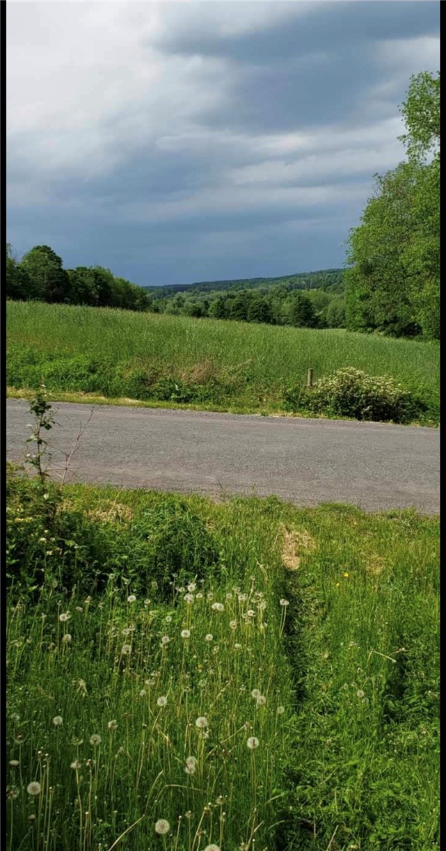 0 Stauber Road Groton, NY 13073 - Photo 3 of 13