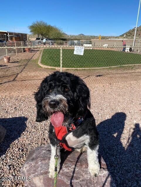 650 North Hawes Road, Unit 4520 Mesa, AZ 85207 - Photo 37 of 37 vp6