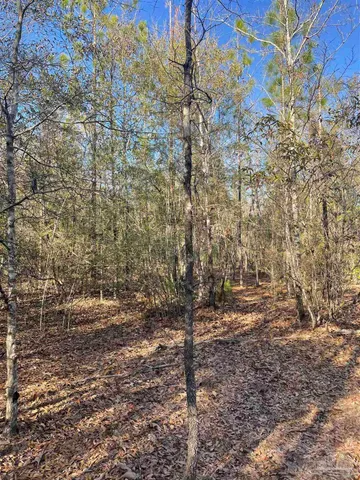 a view of outdoor space and a yard