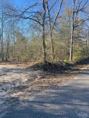 a view of a yard with large trees