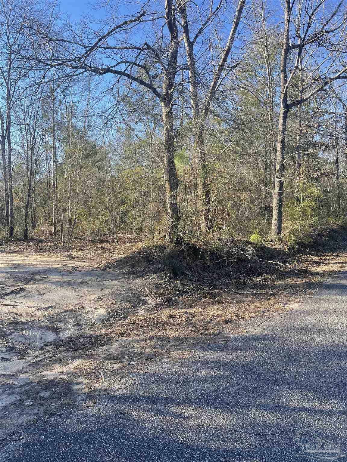 0 Walling Road Milton, FL 32570 - Photo 2 of 14 a view of a yard with large trees