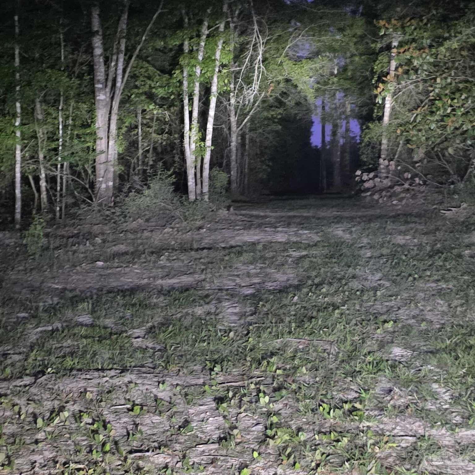 0 Walling Road Milton, FL 32570 - Photo 3 of 14 a view of a backyard