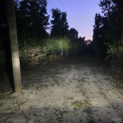 a view of a yard next to a yard