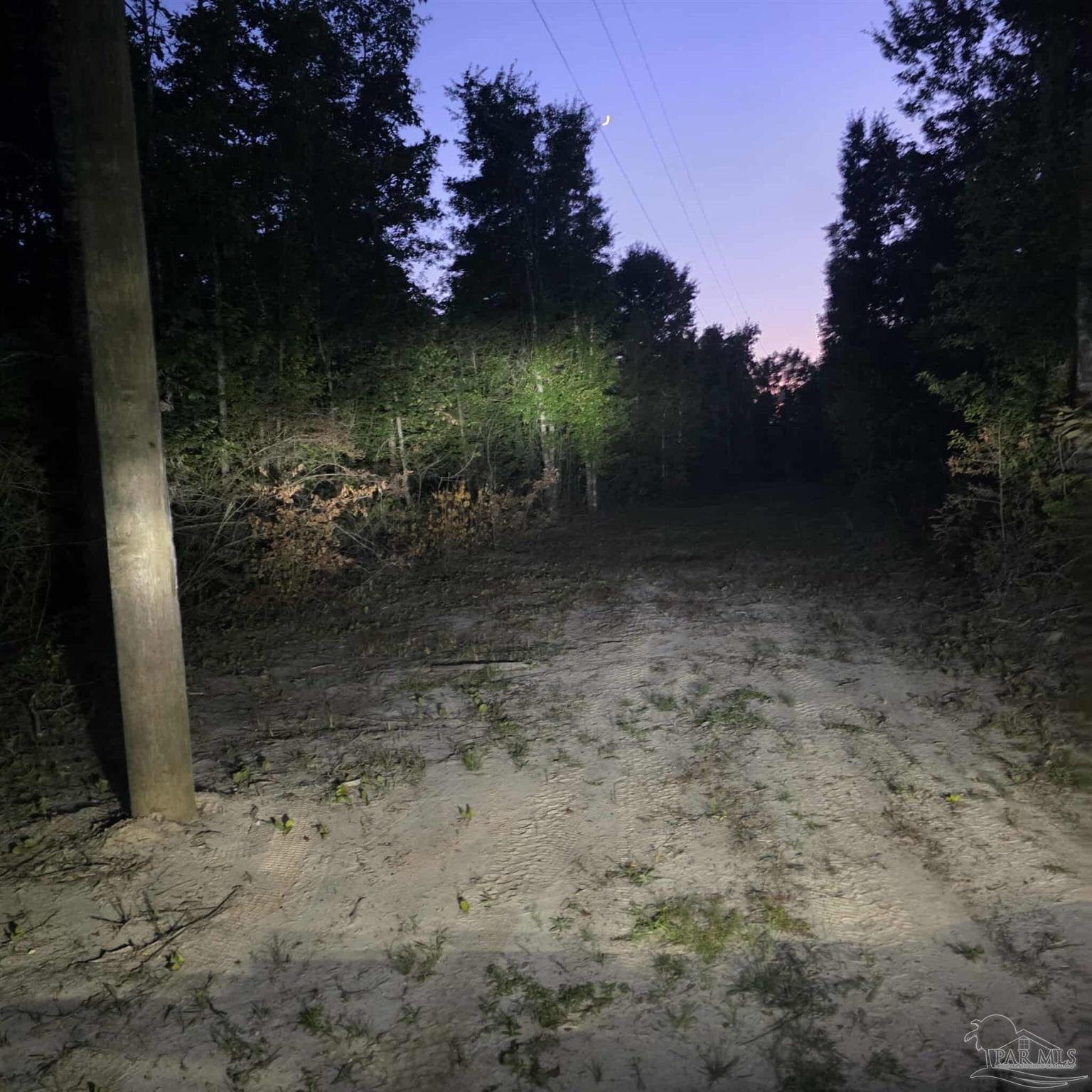 0 Walling Road Milton, FL 32570 - Photo 4 of 14 a view of a yard next to a yard