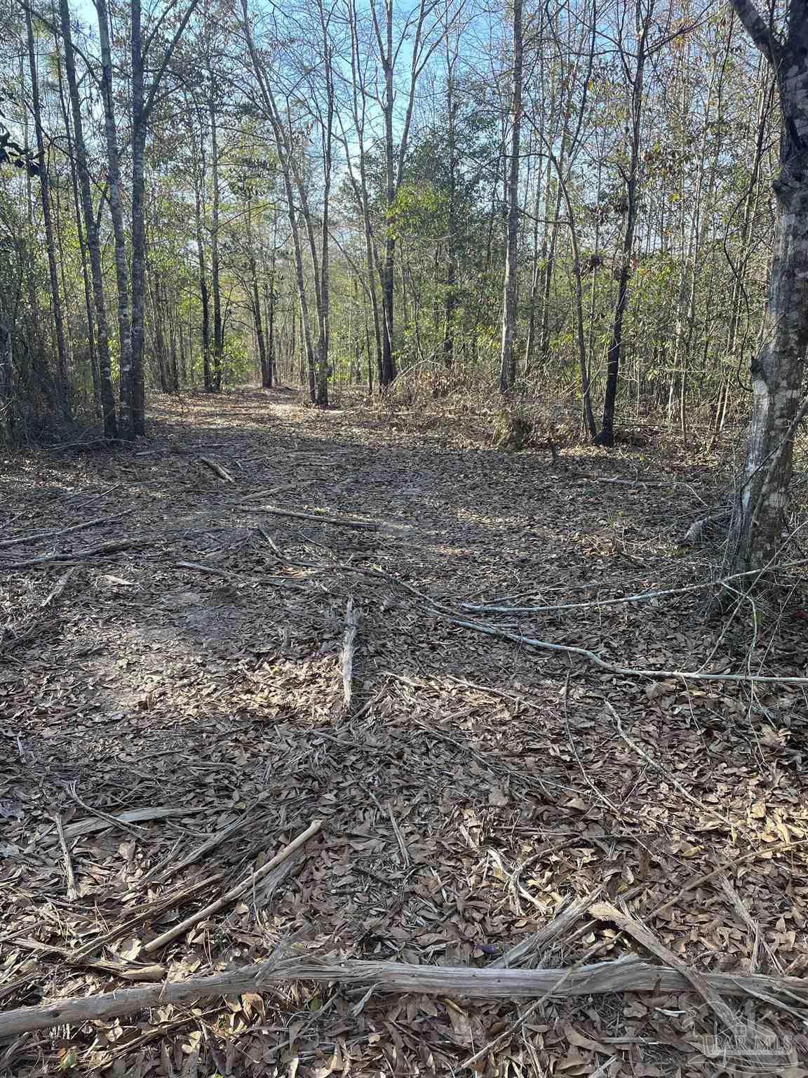 0 Walling Road Milton, FL 32570 - Photo 5 of 14 a view of a yard with trees